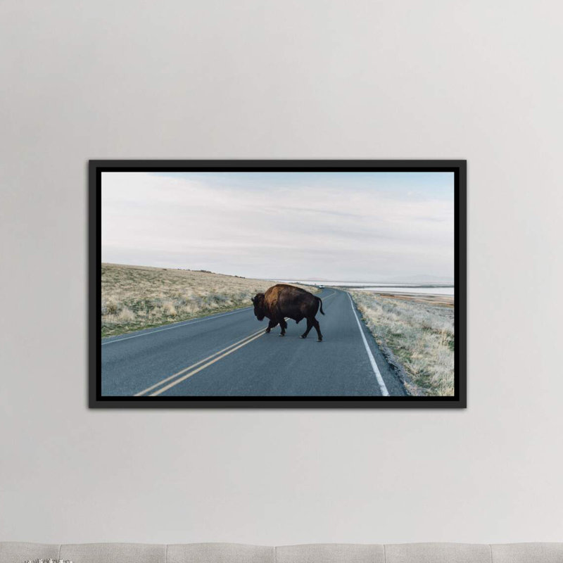 « buffalo bison » par chelsea victoria-impression, H 18 po x l 26 po x P 1,5 po, Toile avec cadre noir