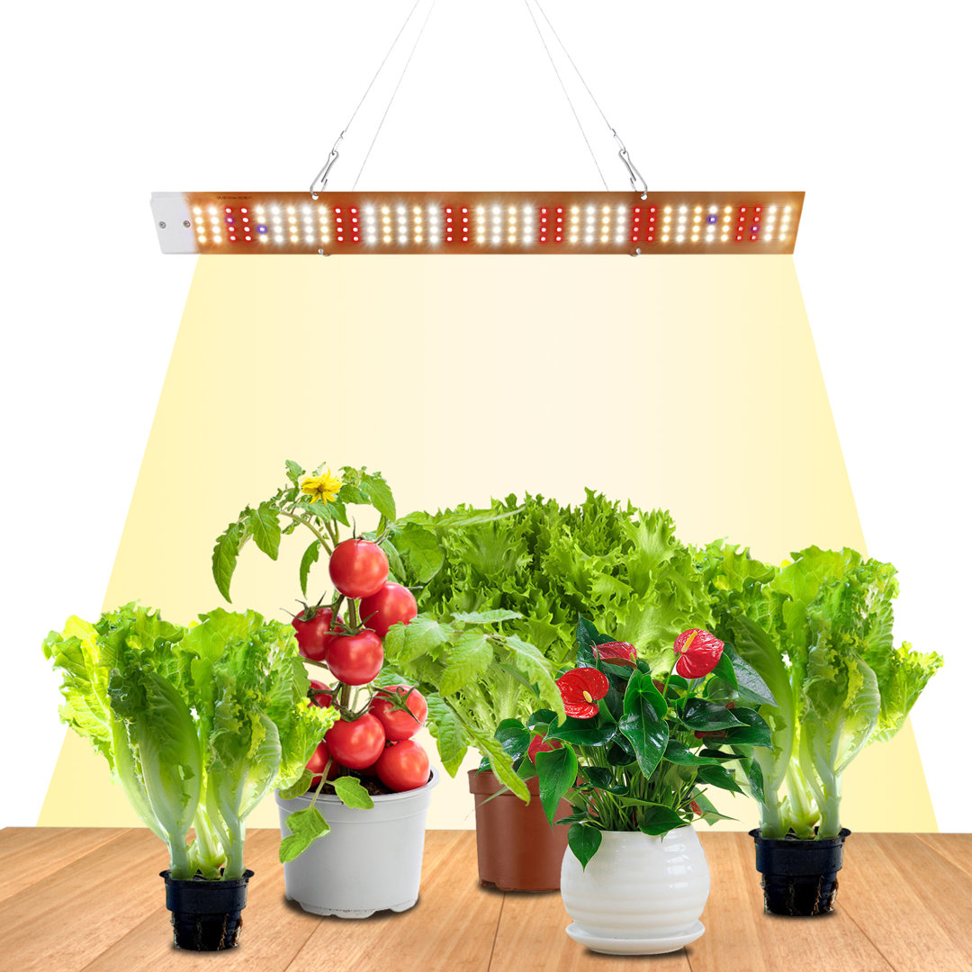 40w Led Pflanzenlampe Grow Light Vollspektrum Hohe Zimmerpflanzen