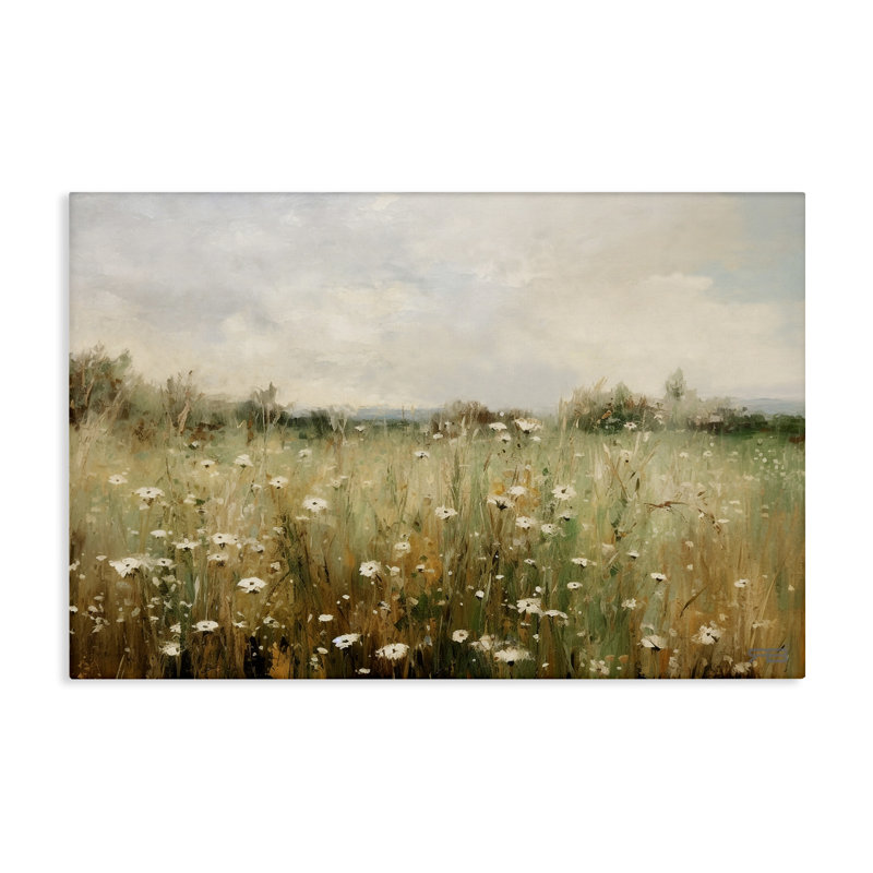 Art mural sur toile Country Daisy Field par Roozbeh Bahramali, H 16 po x l 24 po