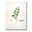 Vintage Botanicals I - peinture sur toile-59814199-59814204