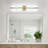 Dimmable LED Vanity Light with Globe Acrylic Shades-84871151-84871137