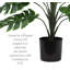 Philodendron artificiel en pot-1164799515