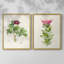 «Pretty Pink Botanicals III», reproduction encadrée de qualité supérieure - prête à être accrochée - aucun clou requis - aucun clou requis-1539855498-1539855508