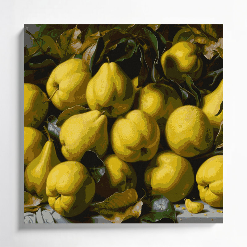 Fruit, coing brun, art mural sur toile, H 32 po x l 32 po