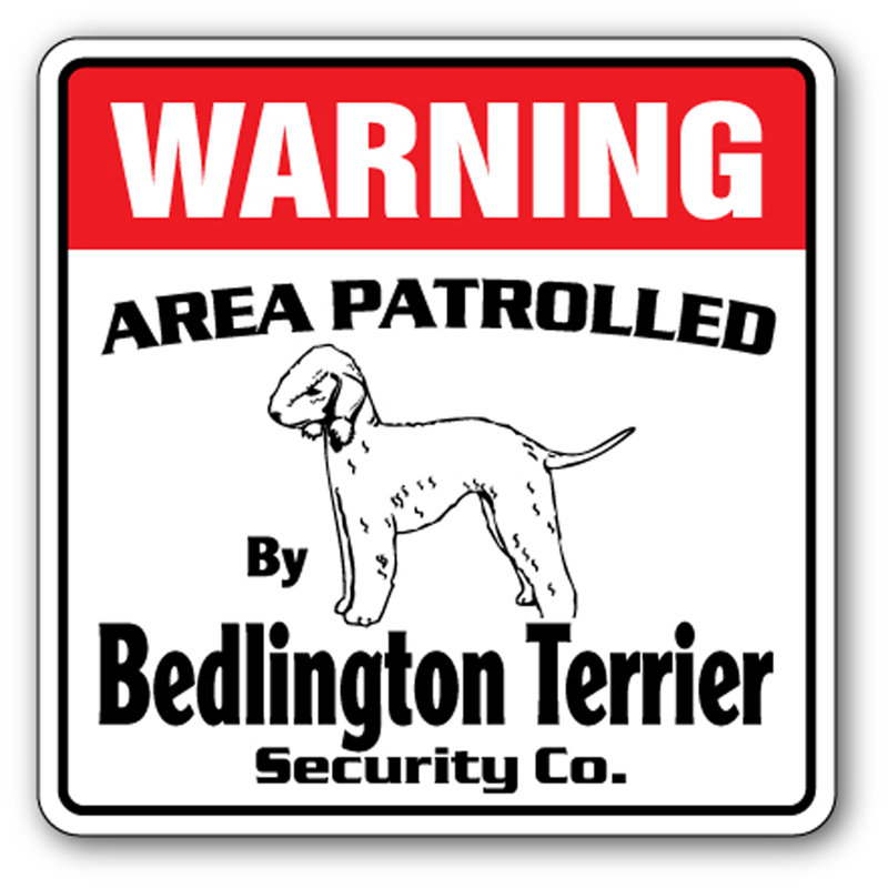 Panneau «Barrowman Beware of Bedlington Terrier», H 10 po x l 14 po x P 0,1 po