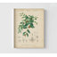 «Tropical Botanique VII» par Vision Studio, reproduction d'affiche botanique de plantes antiques, décor d'art tropical vert, affiche de plantes rétro