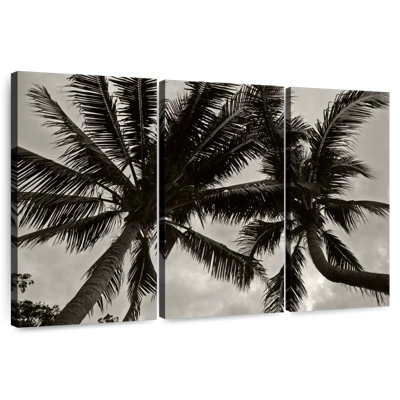 Harnek Palms At Night V