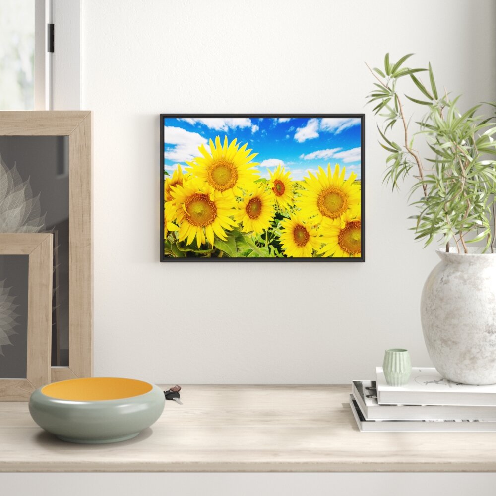 Gerahmtes Wandbild Sonnenblumenwiese unter Himmel