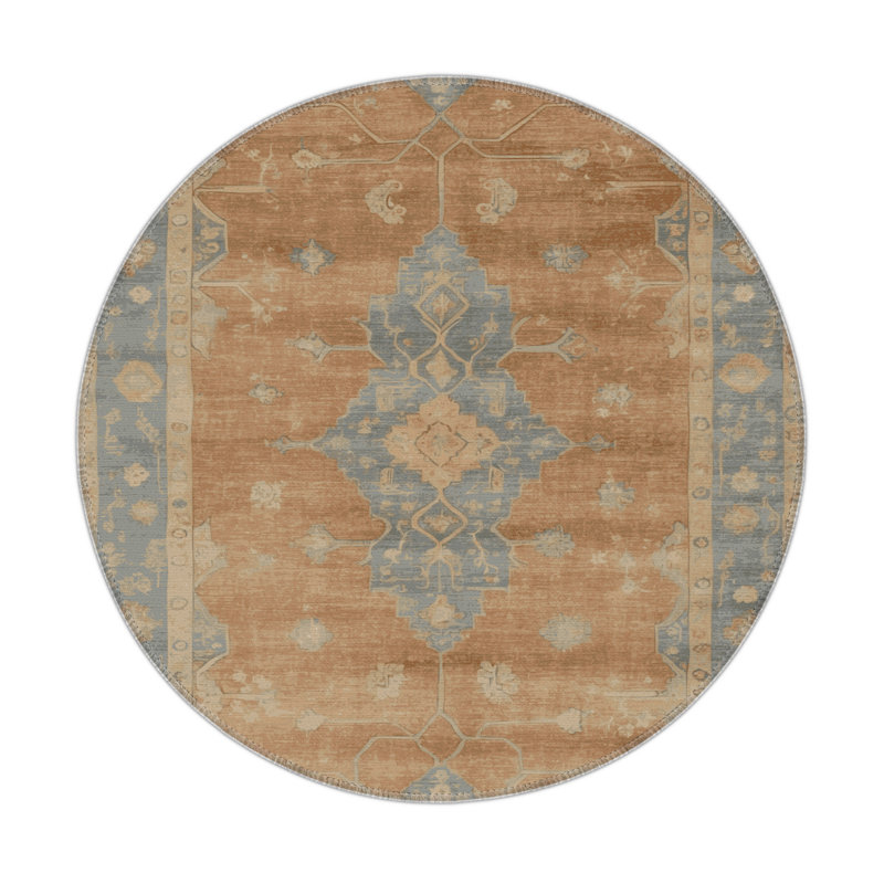 Tapis intérieur et extérieur brun Overdyed, Rond 5 pi