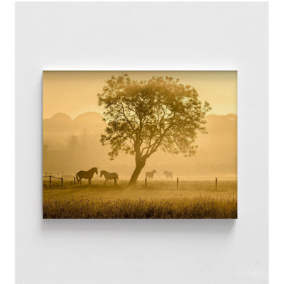 «Golden Horses» par Richard Guijt, reproduction de photo de coucher de soleil, affiche de jour de ferme au lever du soleil, reproduction de photo rustique rustique, photographie d'art équestre