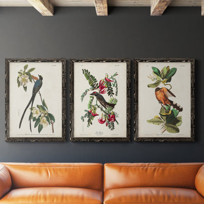 " Pl 168 Fork-Tailed Flycatcher " 2 - Pieces Painting Print