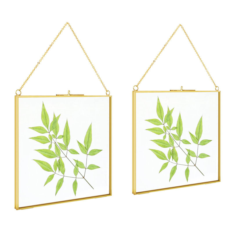 2 cadres photo suspendus en laiton 8 pièces 8 x 8 pouces, double cadre en verre pour fleurs pressées, cadre de photos d'art mural rétro transparent