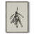 Mistletoe Sketch II Framed Print - Solid Wood-230631555