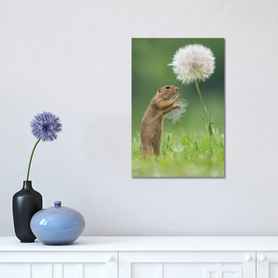 Ziesel With A Very Big Dandelion I by Dick Van Duijn - Print on Canvas