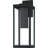 Wiebe 1-Light Earth Black Dark Sky Outdoor Wall Lantern-111149972