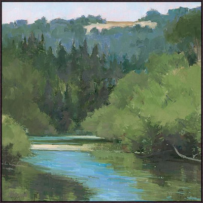 Stream of Solitude Framed Print Canvas