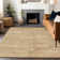 Machine Washable Indoor/Outdoor Claudian ACN1631 Linen Rug