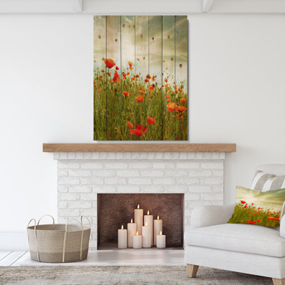 Floral, coquelicot rouge, toile d'art sur fond - Coquelicot