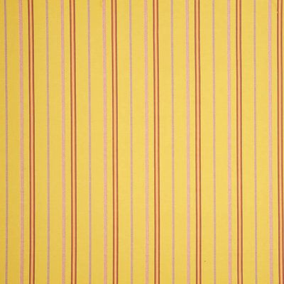Kayenta Stripe Fabric