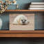 Adorable Seal Pup Contemporary Animal Beach Wall Art Print 1 Piece Wrapped Canvas Wall Art-38674636