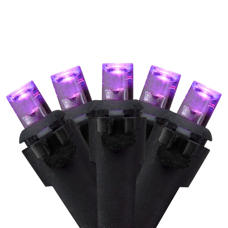 50 Count Wide Angle Purple LED Christmas Lights 16 ft Black Wire