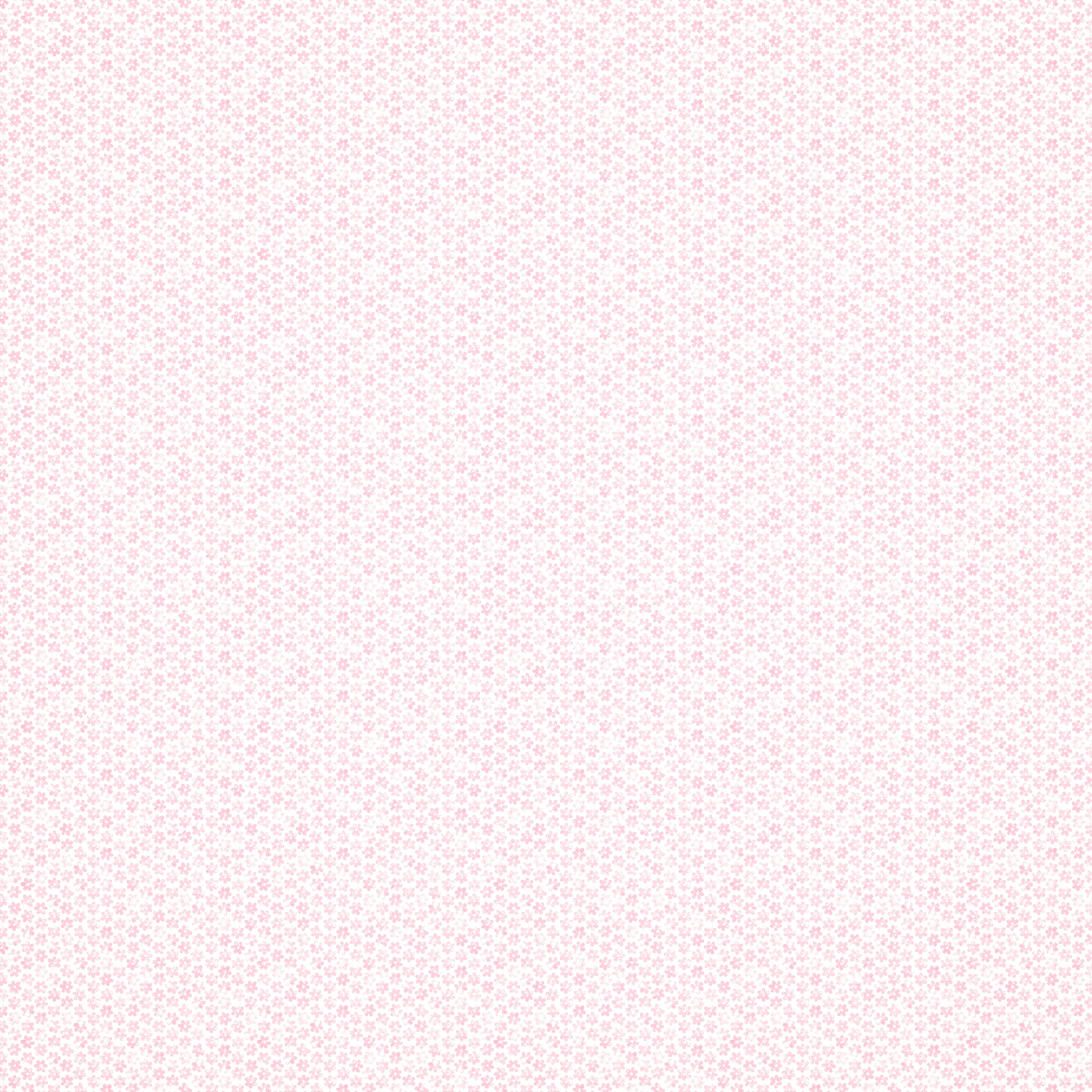 Ditzy Daisy Wallpaper in Pink and White