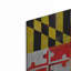 «Maryland» de luxe par Artpoptart, «Wal Maryland» par Artpoptart - impression sans cadre sur métal-1608153238