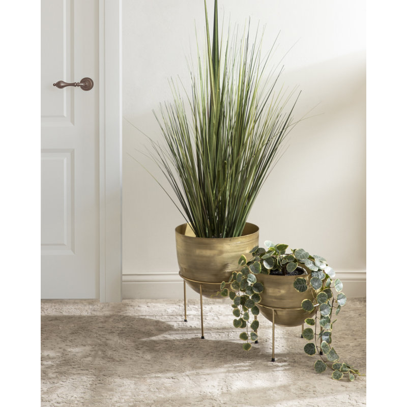 Beamon Metal Pot Planter - Set of 2, Gold