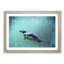 Solo Swimming Penguin in Abstract - Picture Frame Painting Print-55726473-55726471
