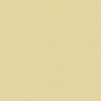 Perfect Plains Polyester Fabric