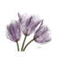 Tulips III by Albert Koetsier - Wrapped Canvas Painting-1303259675