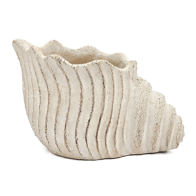 11.5X7x7 Inches Sand And Cement Shell Planter To Bring A Coastal Atmosphere Your Lounge
