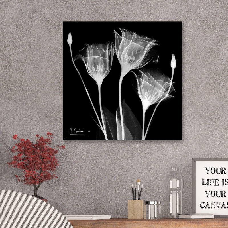 Gentian White - Wrapped Canvas Print, 30 cm H x 30 cm W