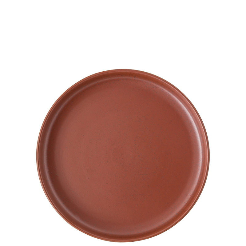 Gourmet plate 24 cm Joyn Stoneware - Spark, White / opaline