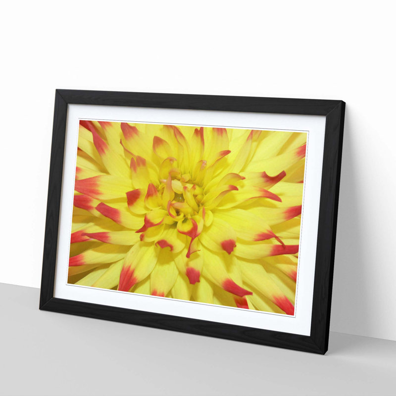 Single Picture Frame Print, Black