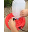 Fontaine à volaille suspendue en plastique Farm Innovators, rouge (paquet de 4)