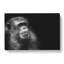 Ape in Abstract - Wrapped Canvas-55305809
