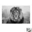 Print on Canvas-773113680-773111968