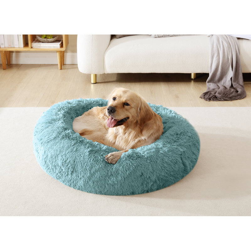 Beignet chaud Artrice, Bleu, Grand (H 11 po x l 39 po x P 39 po)