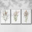 3 pièces Dicat Botanical I-97757804-97757805