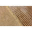 Area Rug in Orange-106955040