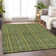 Premium Machine Washable Prisco Olive Rug