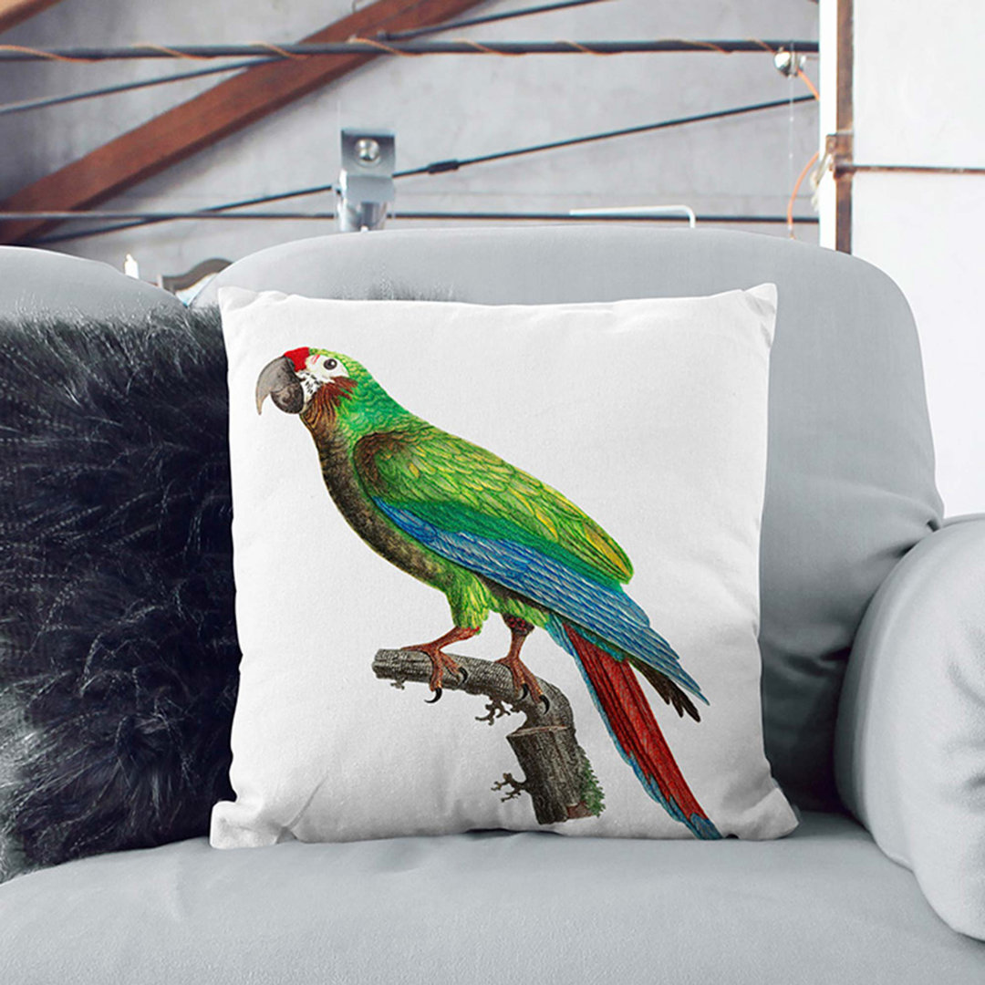 Great Military Macaw Parrot by F. Levaillant Cushion with Filling