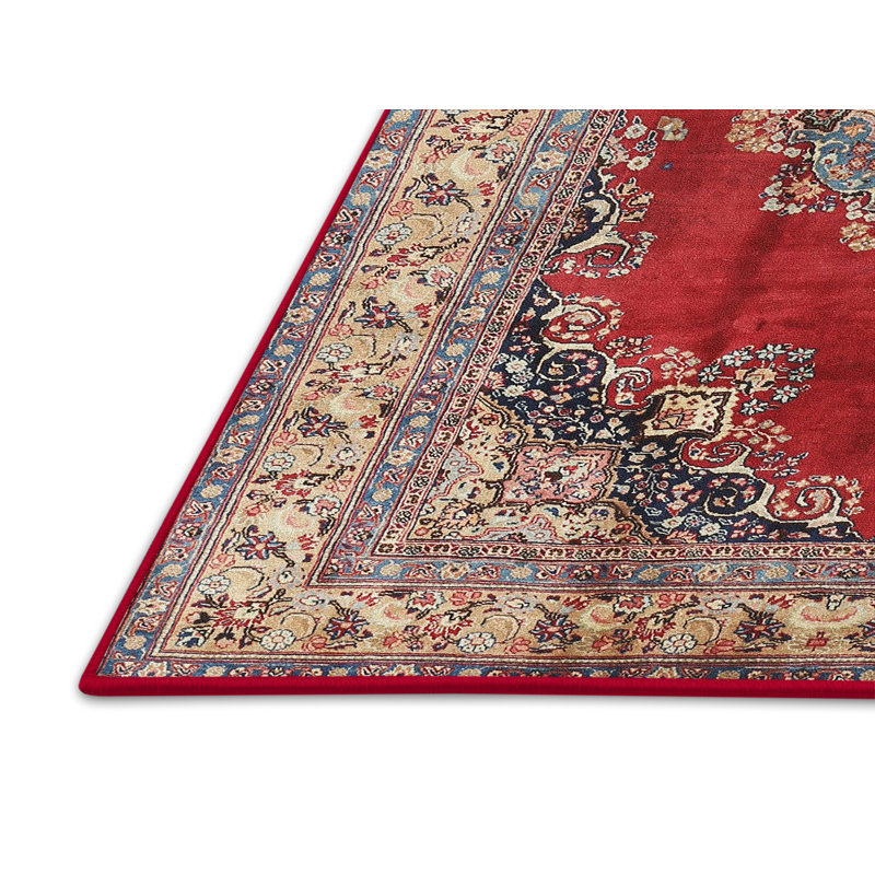 Aizah Oriental Indoor Rug, Rectangle 3' x 5'