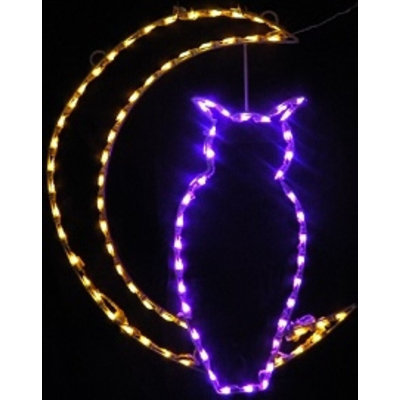 Hibou suspendu et lune