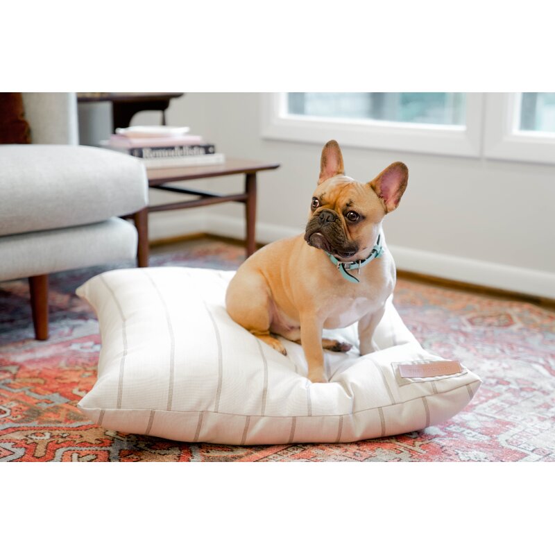 Tucker Murphy Pet™ Capuano Sunbrella Parchment Pointer Pet Pillow | Wayfair