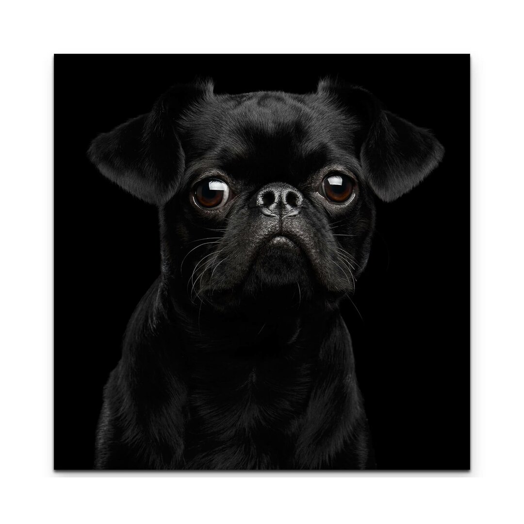 Leinwandbild Brabacon Hund – Portrait