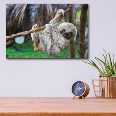 'Baby Sloth' by Epic Portfolio, Acrylic Glass Wall Art