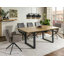 Nehaan Metal Base Dining Table