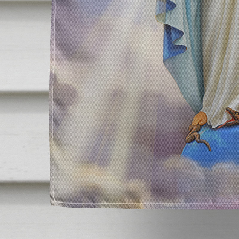 Cordaville Double Sided 40'' H x 28'' W Polyester House Flag